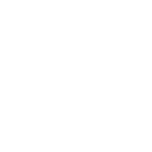 Felix & Paul Studios logo